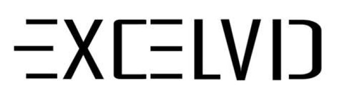 Logotipo de Excelvid