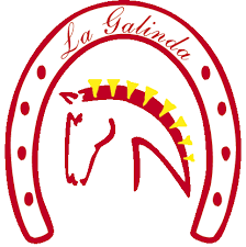 Logotipo de Centro Ecuestre La Nueva Galinda
